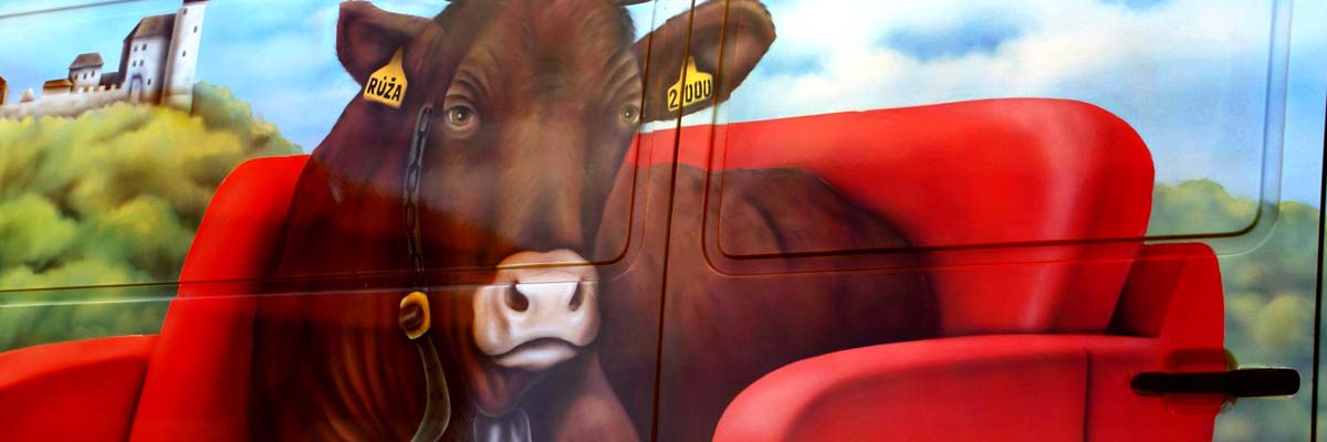 Airbrush pro Kravín Hrobice na dodávce Mercedes-Benz Sprinter.