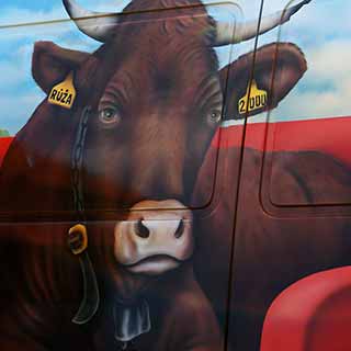 Airbrush s motivem krávy - detail
